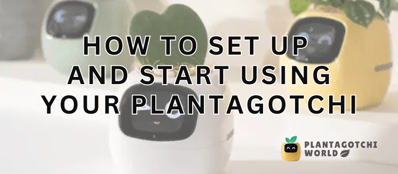 How to Set Up and Start Using Plantagotchi