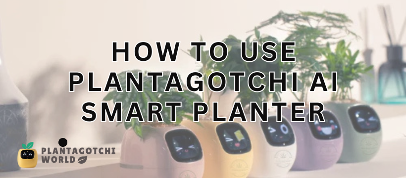 How to Use Plantagotchi AI Smart Planter