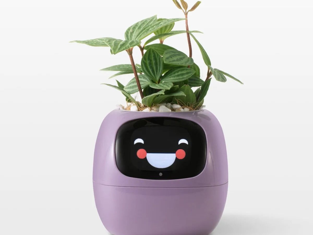 Plantagotchi - Smart Purple Plant Pot AI Planter $109.99