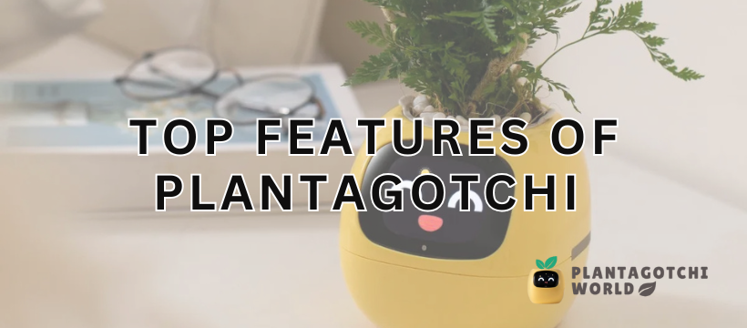 Top features of Plantagotchi