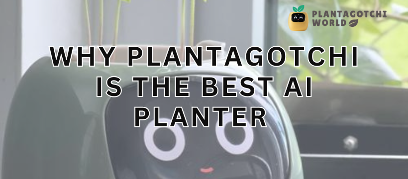 Why Plantagotchi is the Best AI Planter