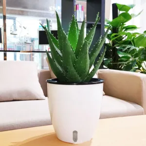 Small Spaces Self-Watering Plant Pot