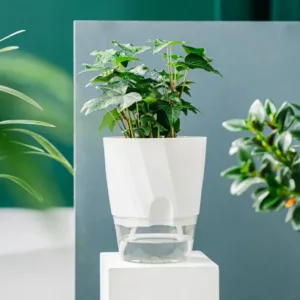 Self-Watering Planter for Home Office