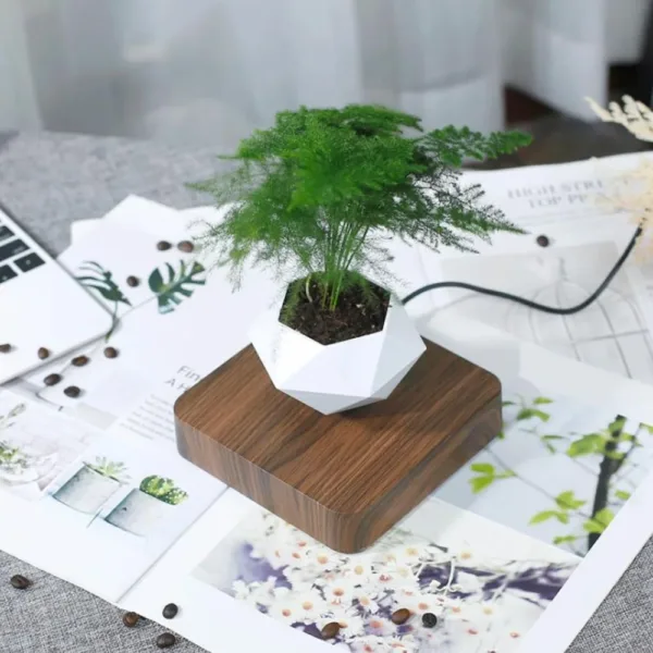 Floating Pot Potted Plant