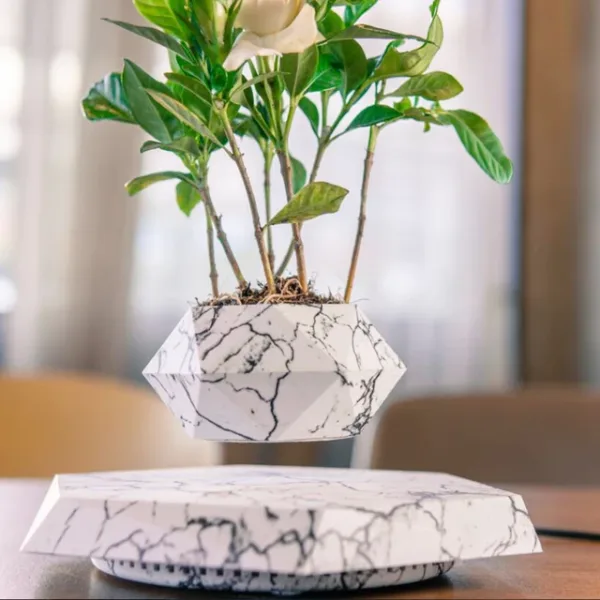 Floating Pot Potted Plant