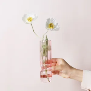 Plant Hydroponic Flower Vase