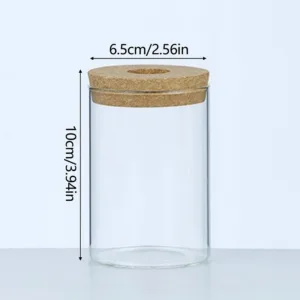 Transparent Hydroponic Flower Pots
