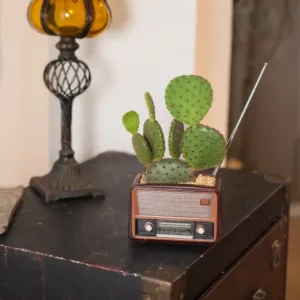 creative-vintage-radio-flower-pot