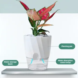 Self-Watering Planter for Home Office