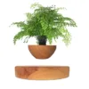 wood-grain