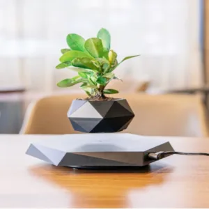 Floating Pot Potted Plant