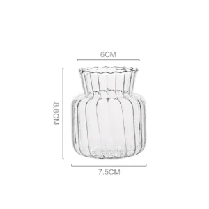 hydroponic terrarium flower vase