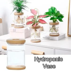 Transparent Hydroponic Plastic Vase