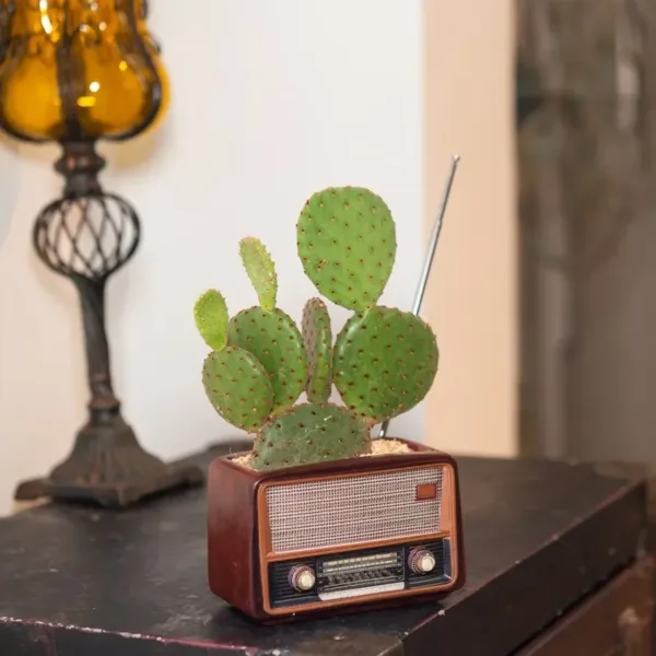 creative-vintage-radio-flower-pot