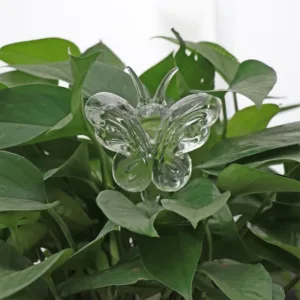 houseplant automatic self-watering