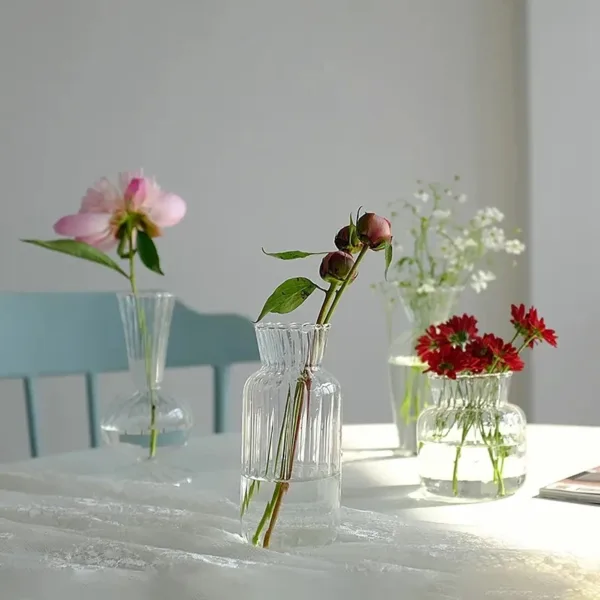 hydroponic terrarium flower vase
