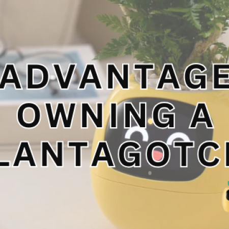 The Advantages of Owning a Plantagotchi