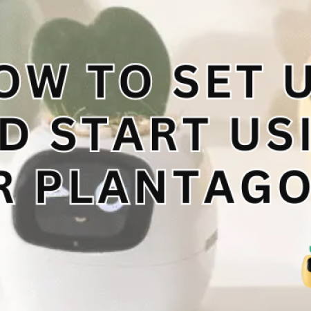 How to Set Up and Start Using Plantagotchi