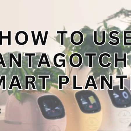 How to Use Plantagotchi AI Smart Planter