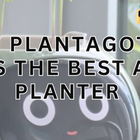 Why Plantagotchi is the Best AI Planter